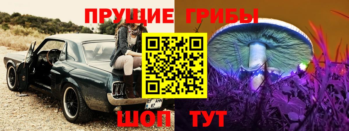 Галлюциногенные грибы MAGIC MUSHROOMS  Вход с VPN  Волгоград  Псилоцибиновые грибы Psilocybe 